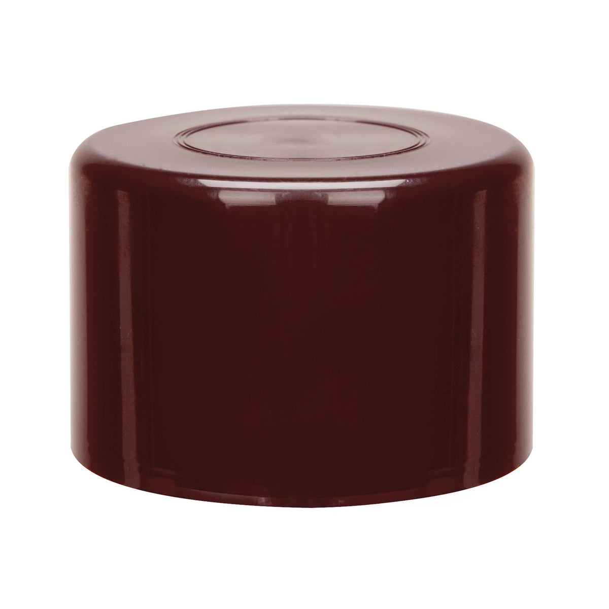 1965/1973-1975 Corvette Maroon/Oxblood Interior Color Coat - Aerosol